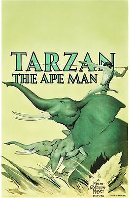 TARZAN L'HOMME SINGE, TARZAN THE APE MAN, JOHNNY WEISSMULLER, 1932, repro affiche cinéma, HQ
