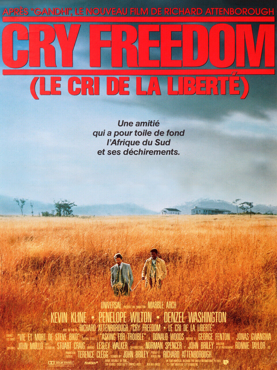 CRY FREEDOM (LE CRI DE LA LIBERTÉ), DENZEL WASHINGTON, 1987, REPRO AFFICHE CINEMA VINTAGE, HQ