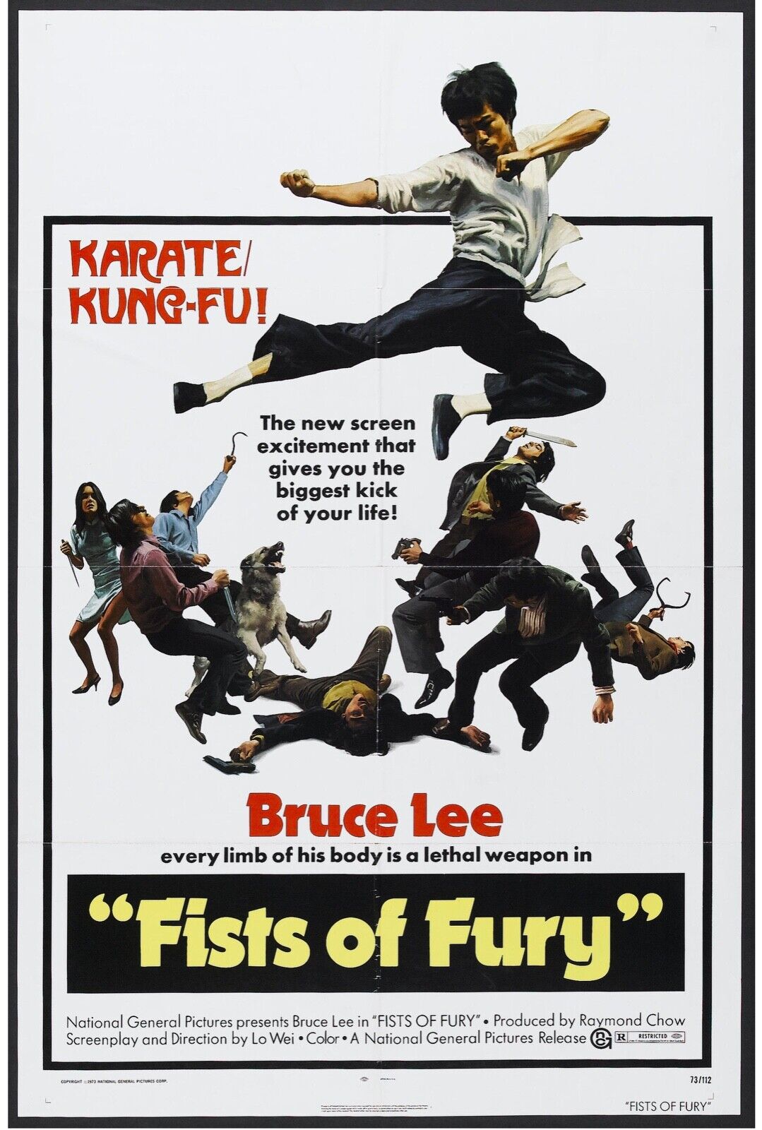 FISTS OF FURY, BRUCE LEE, KARATE, 1972, REPRO AFFICHE DE CINEMA VINTAGE HQ