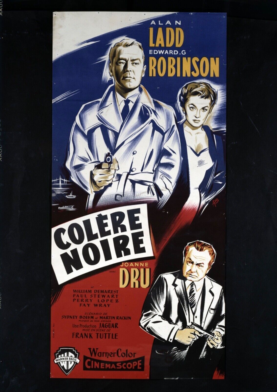COLÈRE NOIRE, ALAN LADD, REPRO AFFICHE CINEMA VINTAGE,