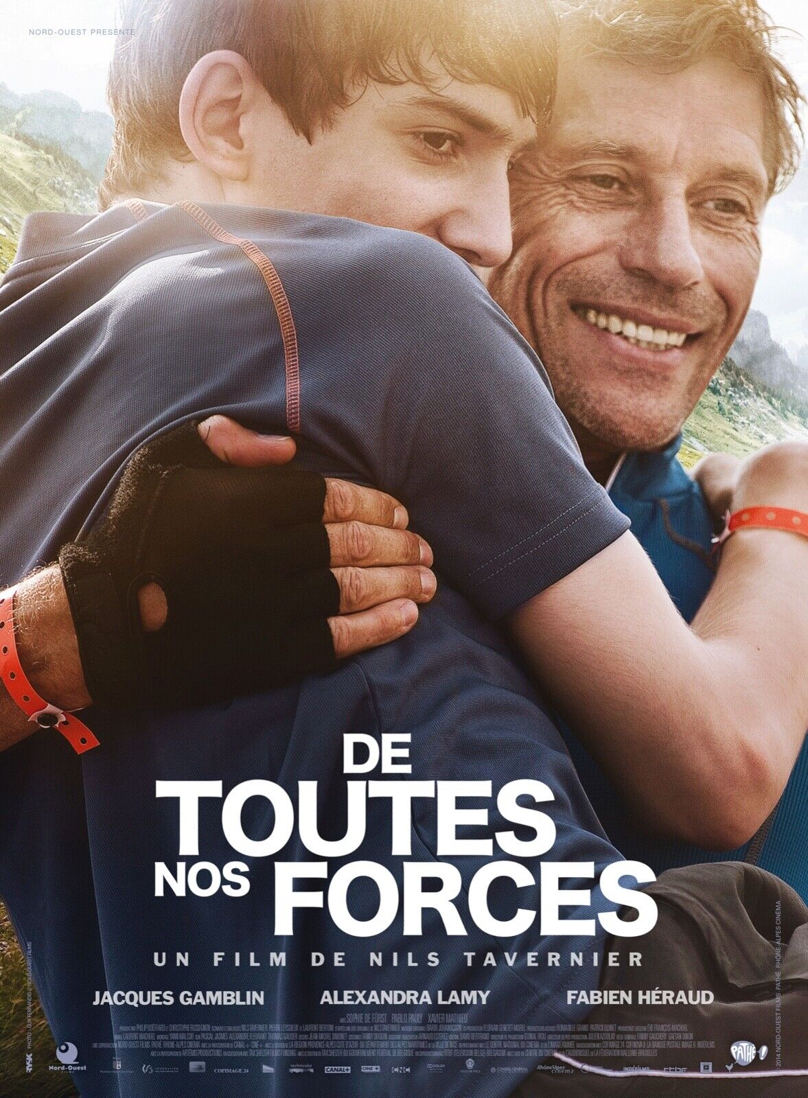 DE TOUTES NOS FORCES, NIL TAVERNIER, PIERRE LEYSSIEUX, ALEXANDRA LAMY, REPRO AFFICHE CINEMA VINTAGE, HQ