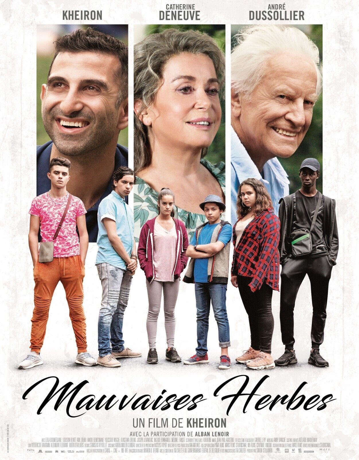 WEEDS, CATHERINE DENEUVE, 2018, VINTAGE cinema poster reproduction, HQ