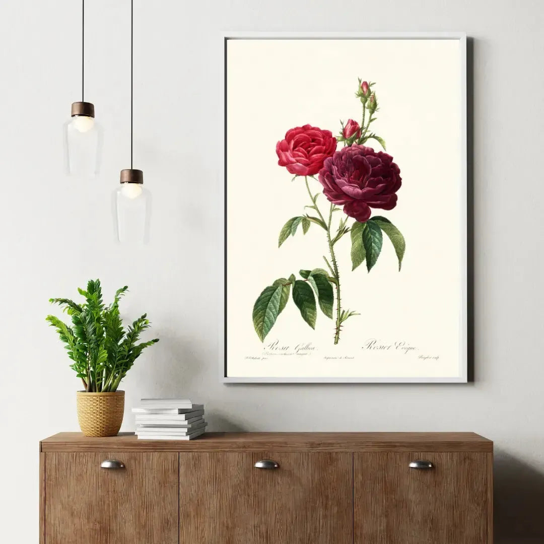 Posters Vintage Nature & Animaux – Posters Rétro Botaniques | Poster Hub Studio