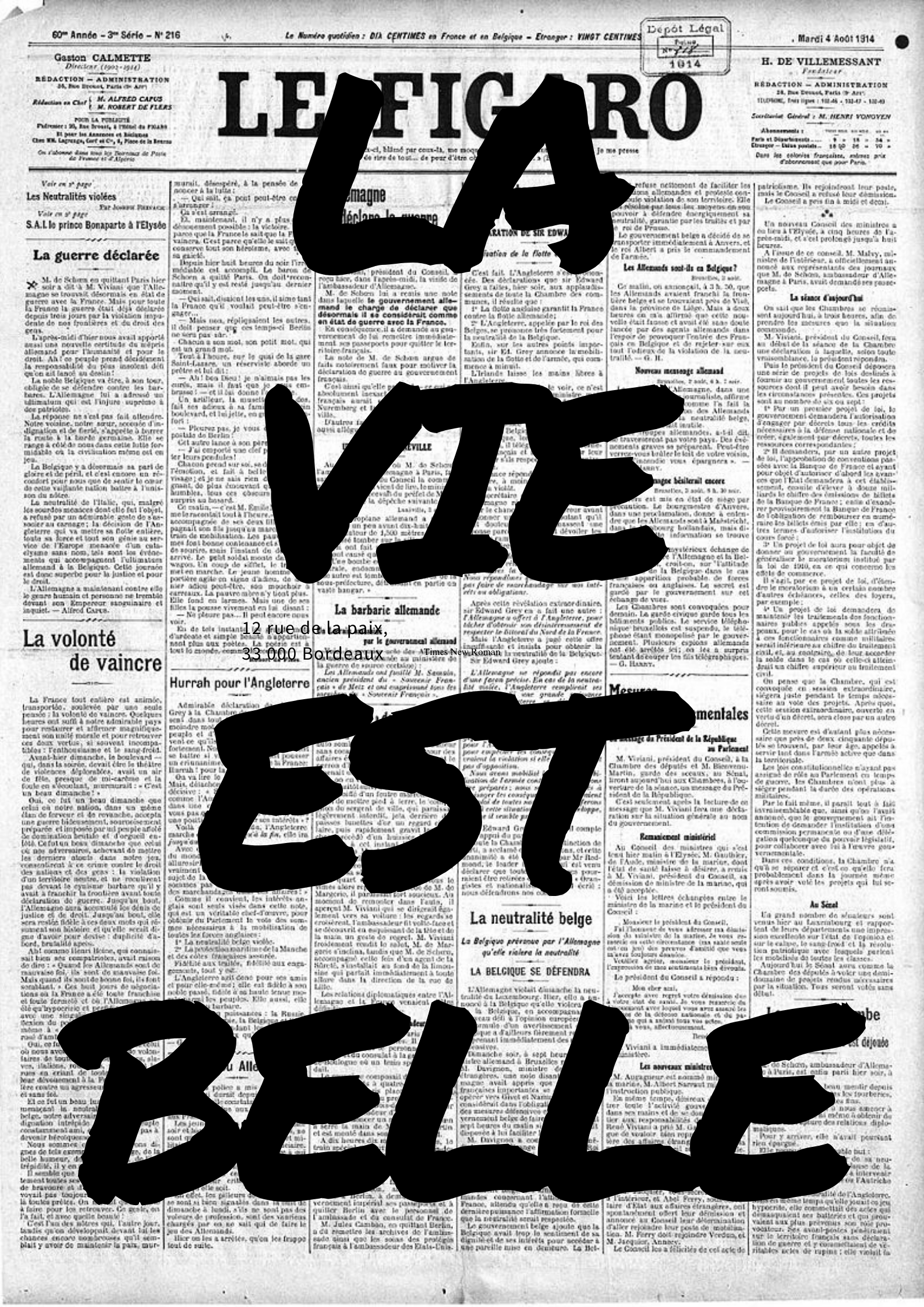 La Vie Est Belle Motivational Poster Hq – Vintage Retro Cinema Poster | Poster HUB STUDIO