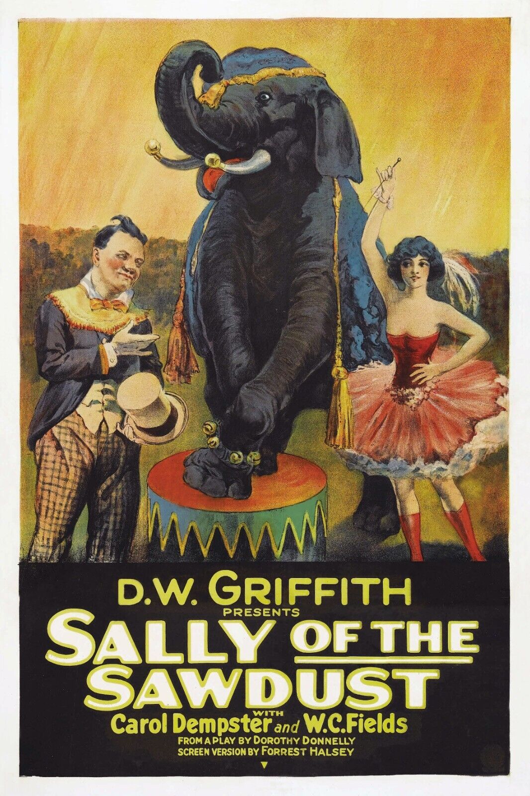 SALLY OF THE SAWDUST – ÉLÉPHANT – CIRQUE, REPRO AFFICHE VINTAGE HQ