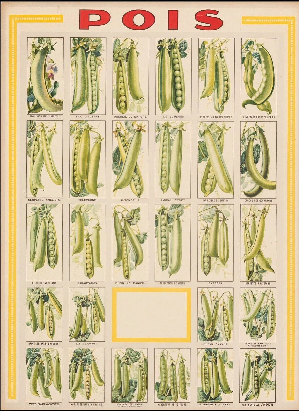 GUISANTES, REPRODUCCIÓN DE CARTEL DE ARTE VINTAGE BOTÁNICO Y VEGETAL, HQ