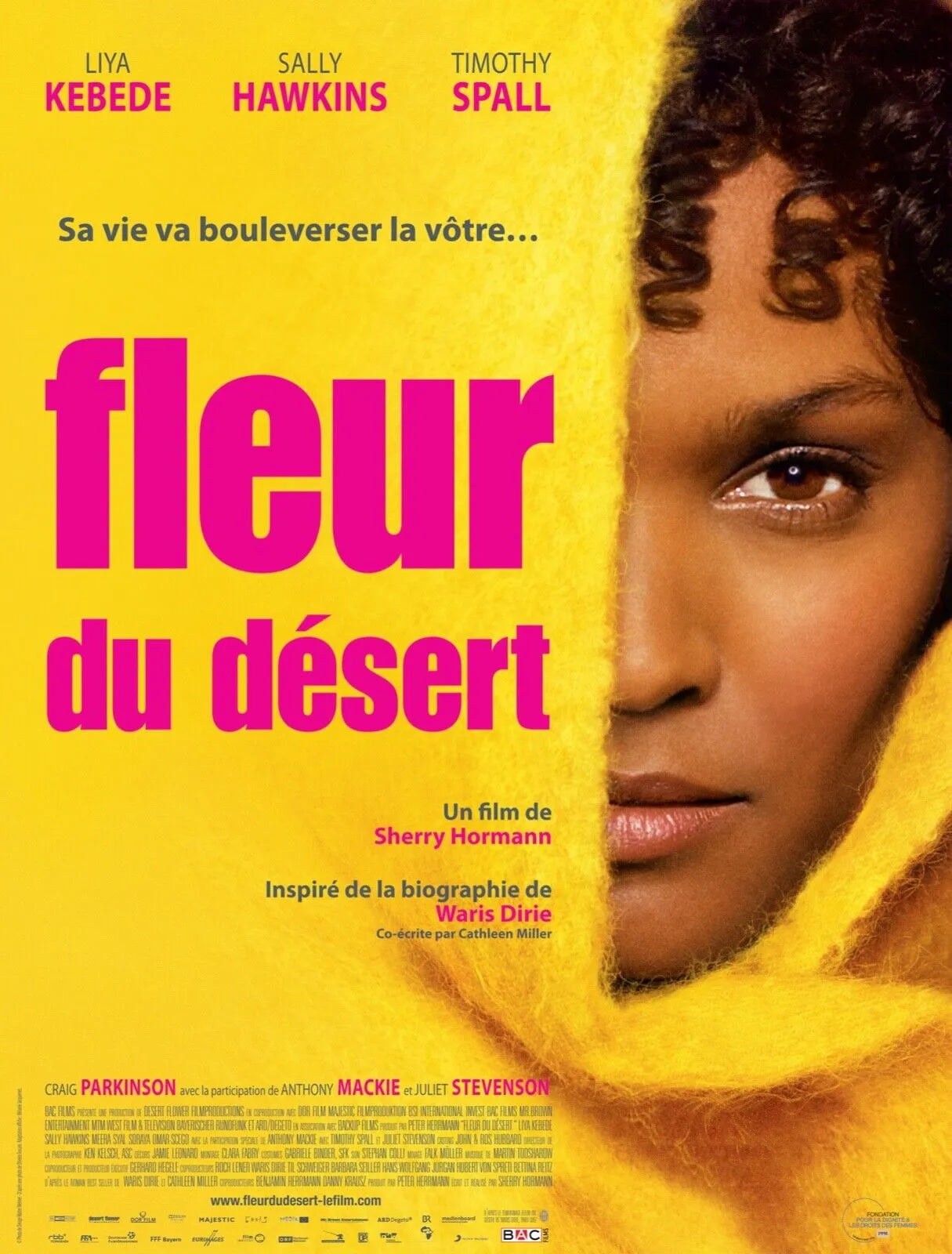 DESERT FLOWER, LIYA KEBEDE, 2009, REPRO MOVIE POSTER, VINTAGE, HQ