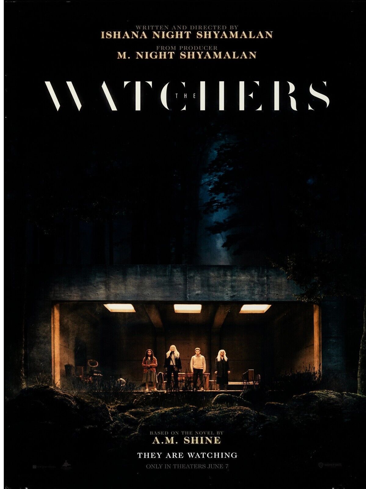 THE WATCHERS, DAKOTA FANNING, 2024 repro cinema poster, VINTAGE, HQ