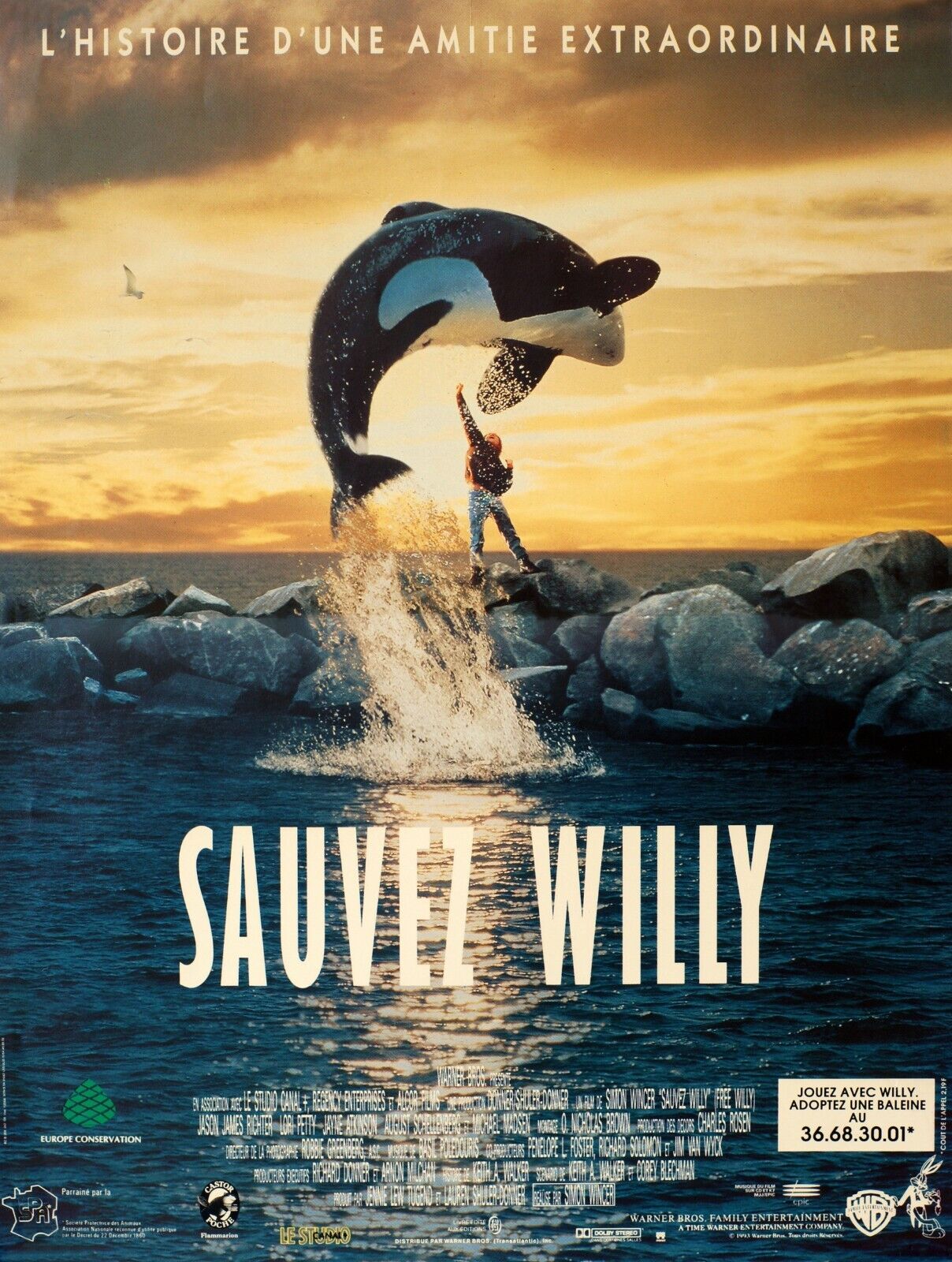 SAUVEZ WILLY, DAUPHIN, REPRO AFFICHE CINEMA VINTAGE