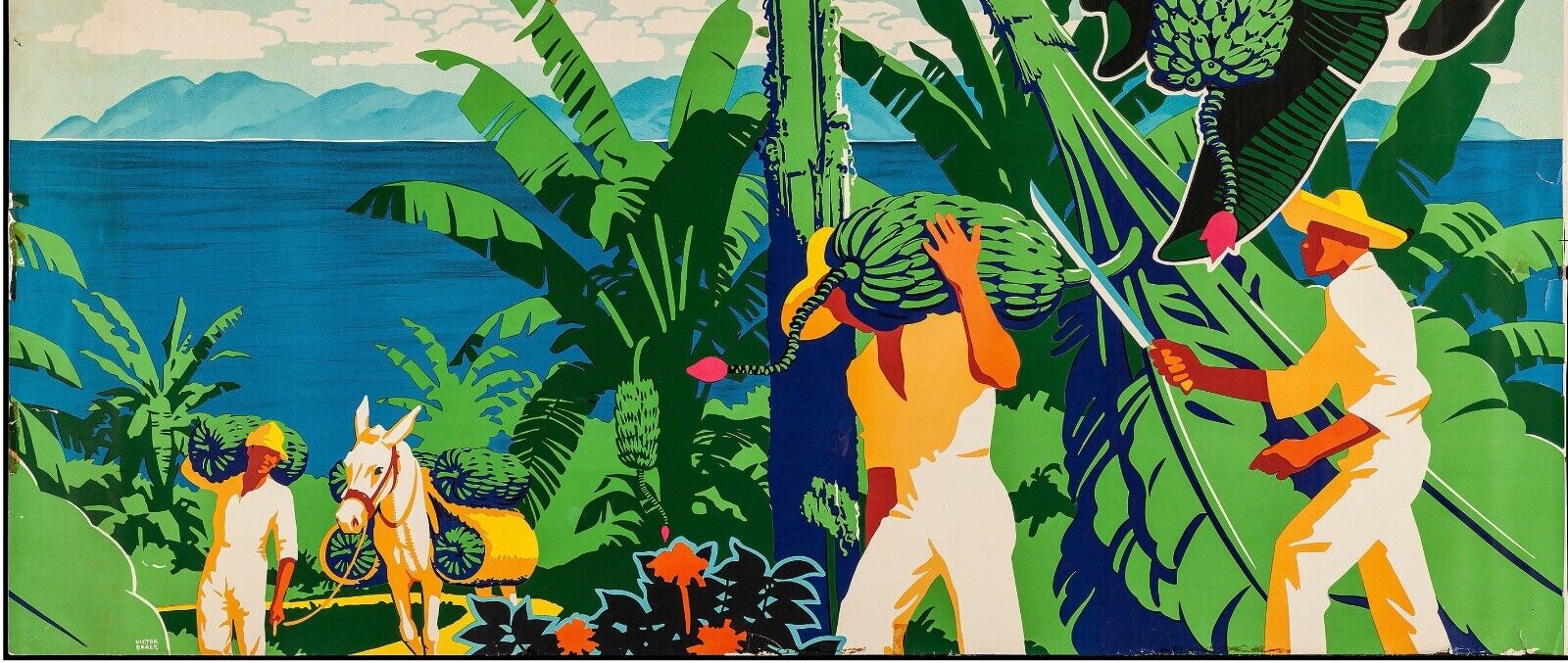 BANANES, BANANIERS, RÉCOLTE, REPRO PUBLICITÉ POSTER, VINTAGE, HQ