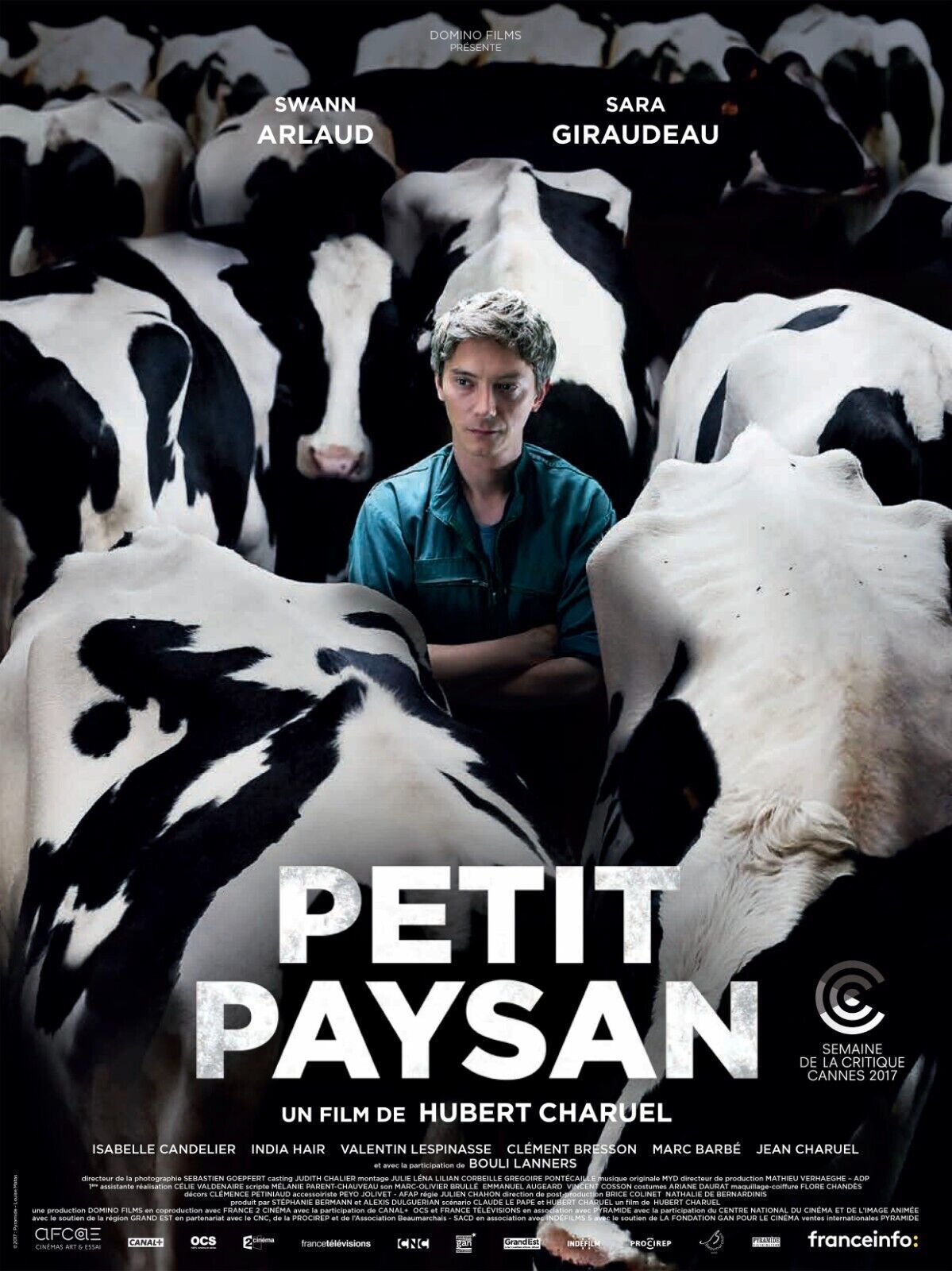PETIT PAYSAN, SWANN ARLAUD, 2017, Repro Affiche Cinema VINTAGE, HQ