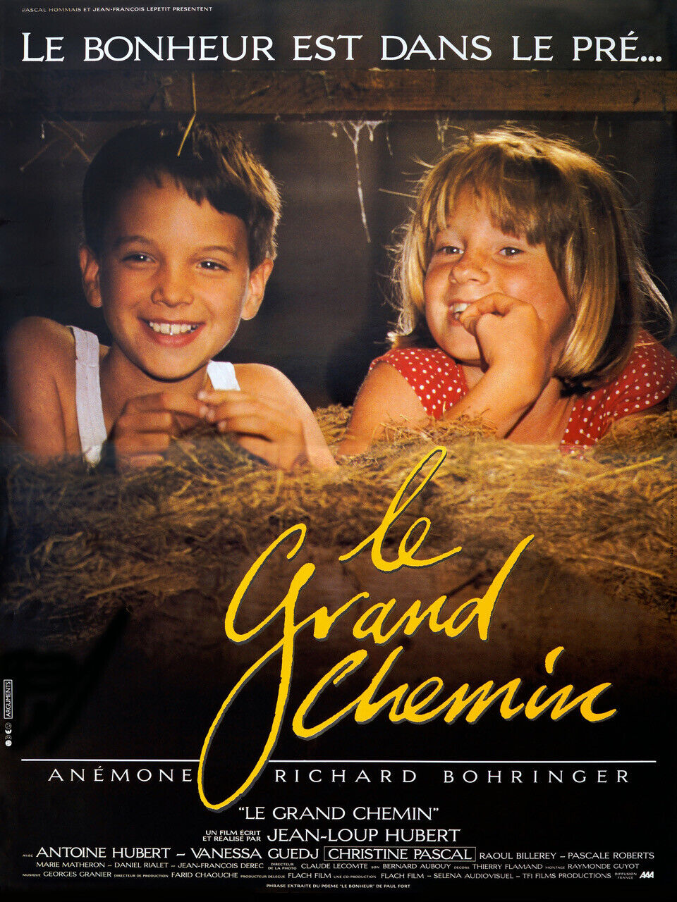 LE GRAND CHEMIN, ANÉMONE, 1987, REPRO AFFICHE CINEMA VINTAGE, HQ