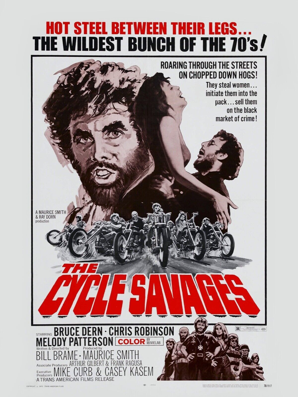 CYCLE SAUVAGES, BRUCE DERN,1969, REPRO AFFICHE CINÉMA VINTAGE, HQ