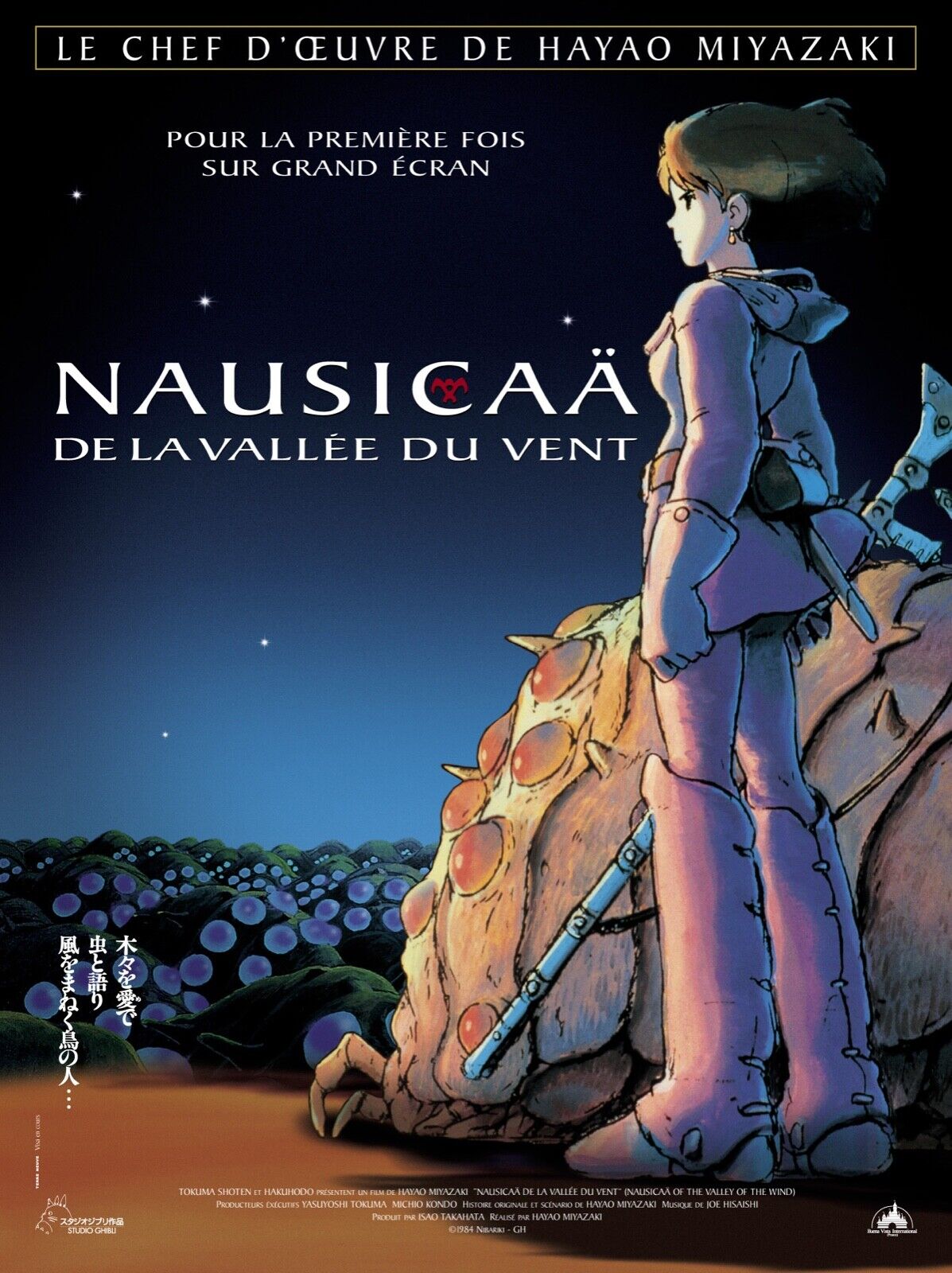 NAUSICAA DE LA VALLEE DU VENT, SUMI SHIMAMOTO, 1984, REPRO AFFICHE CINEMA VINTAGE, HQ