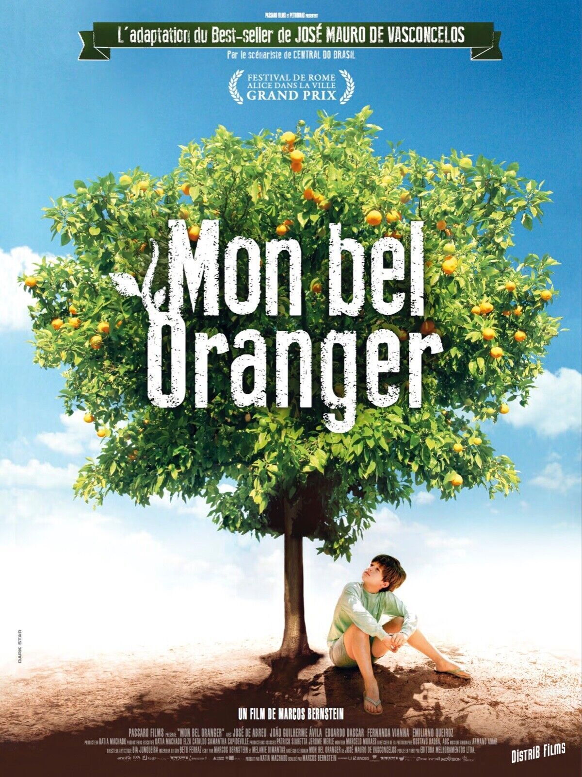 MY BEAUTIFUL ORANGE TREE, JOÃO GUILHERME ÁVILA, 2012, Repro vintage cinema poster, HQ