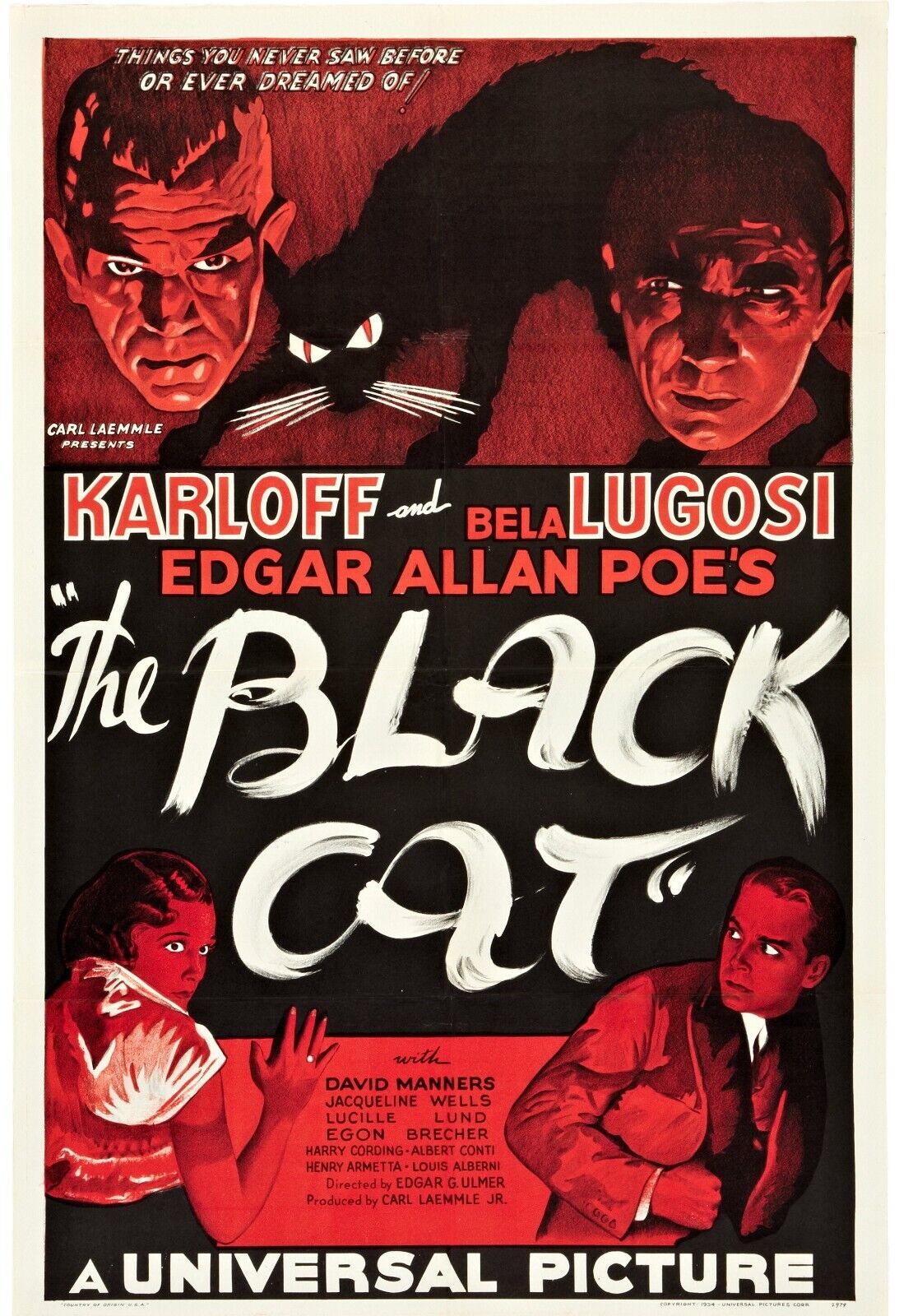 THE BLACK CAT, KARLOFF, BELLA LUGOSI, 1934, repro movie poster, VINTAGE, HQ