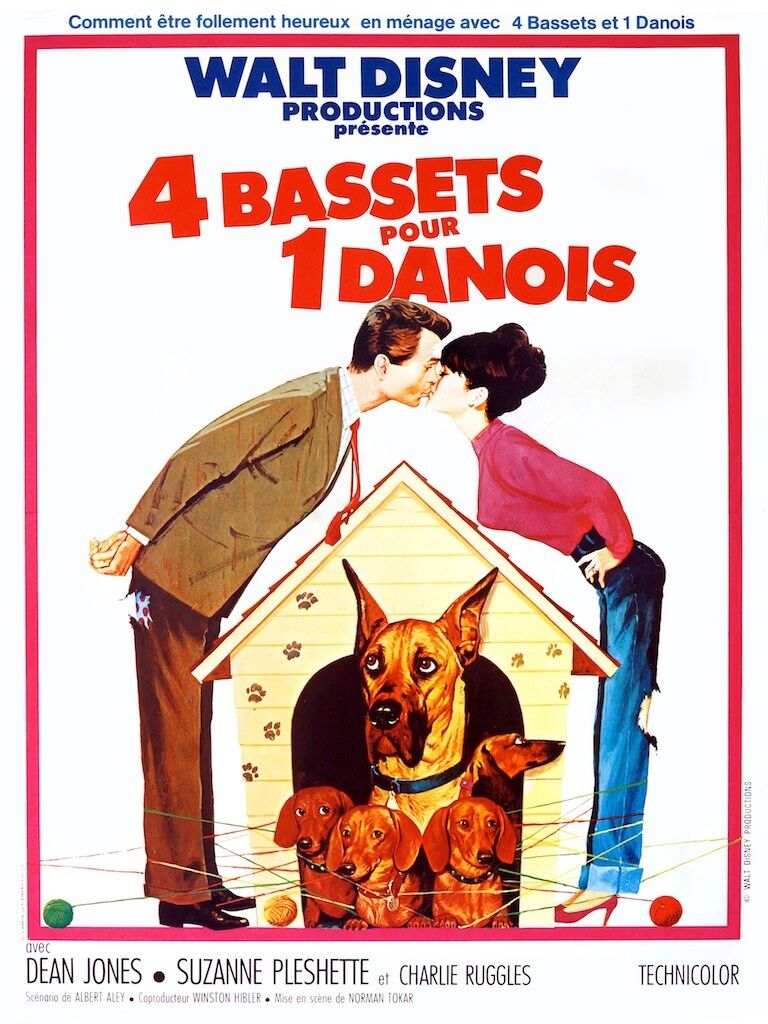 QUATRE BASSETS POUR UN DANOIS, DEAN JONES, 1966, REPRO MOVIE POSTER, VINTAGE, HQ