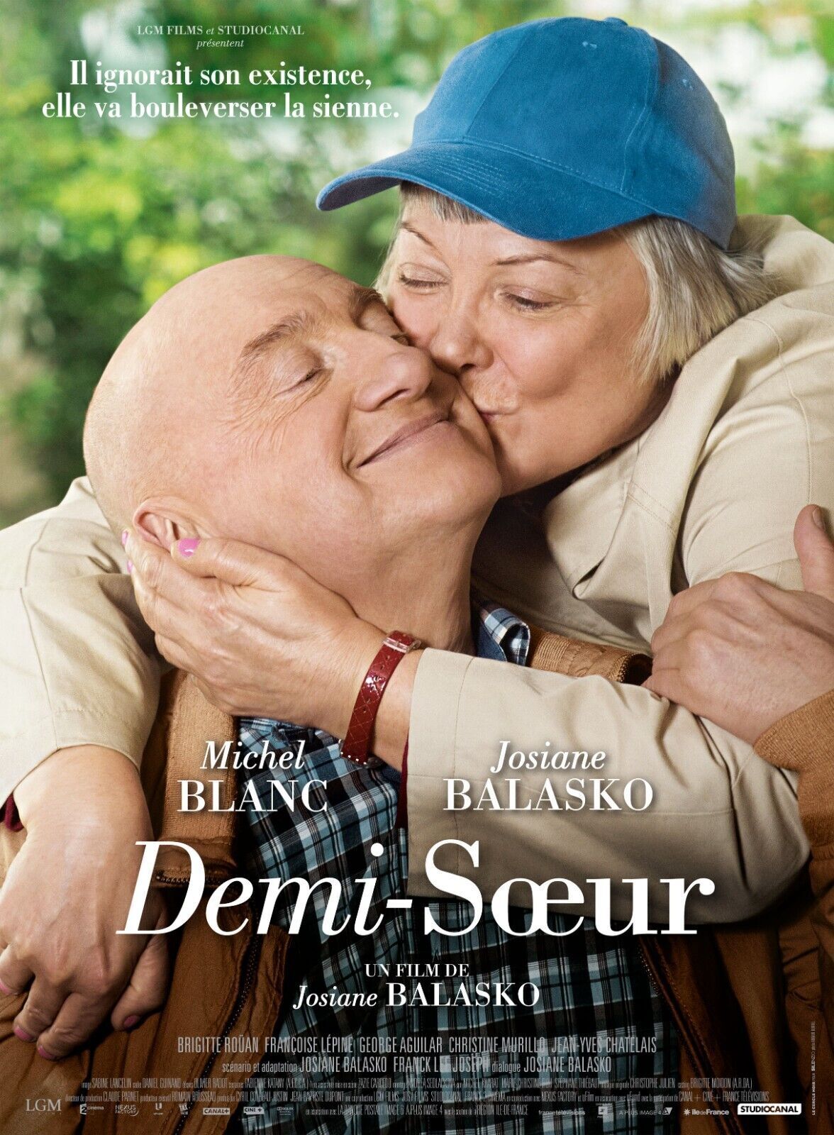 DEMI-SŒUR, JOSIANE BALASKO, MICHEL BLANC, 2013, REPRO MOVIE POSTER, VINTAGE, HQ
