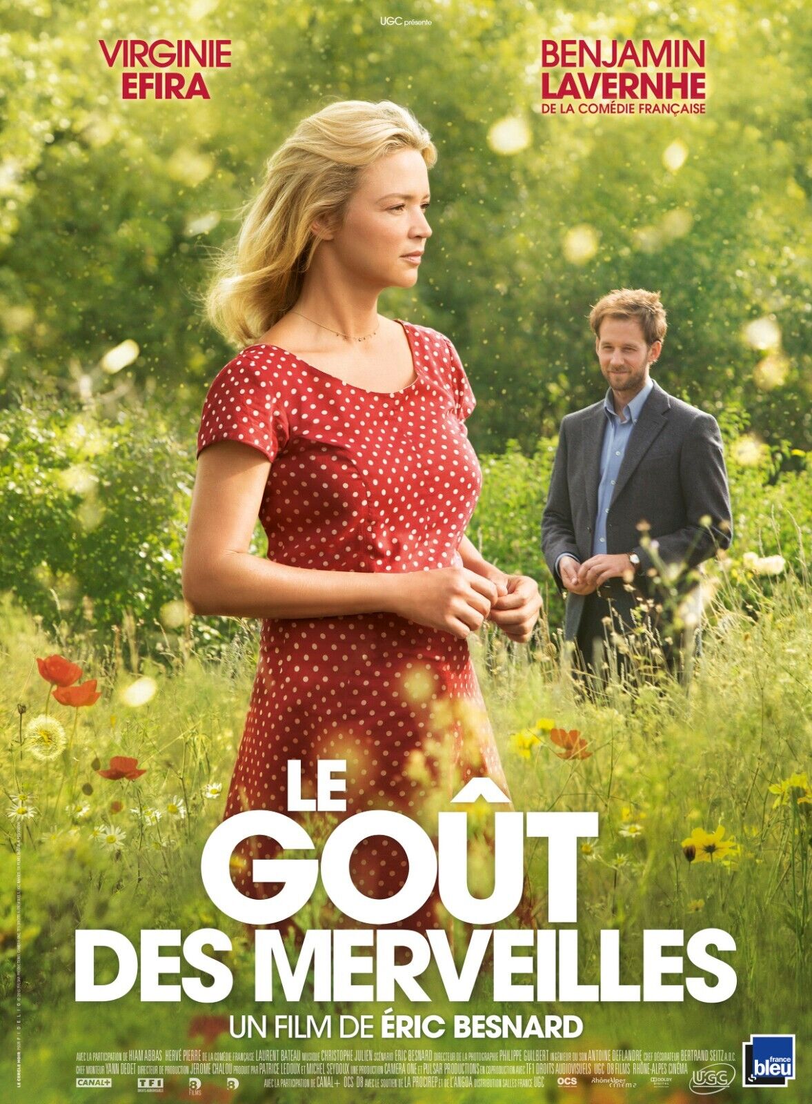 LE GOÛT DES MERVEILLES, VIRGINIE EFIRA, repro affiche de cinéma, VINTAGE, HQ