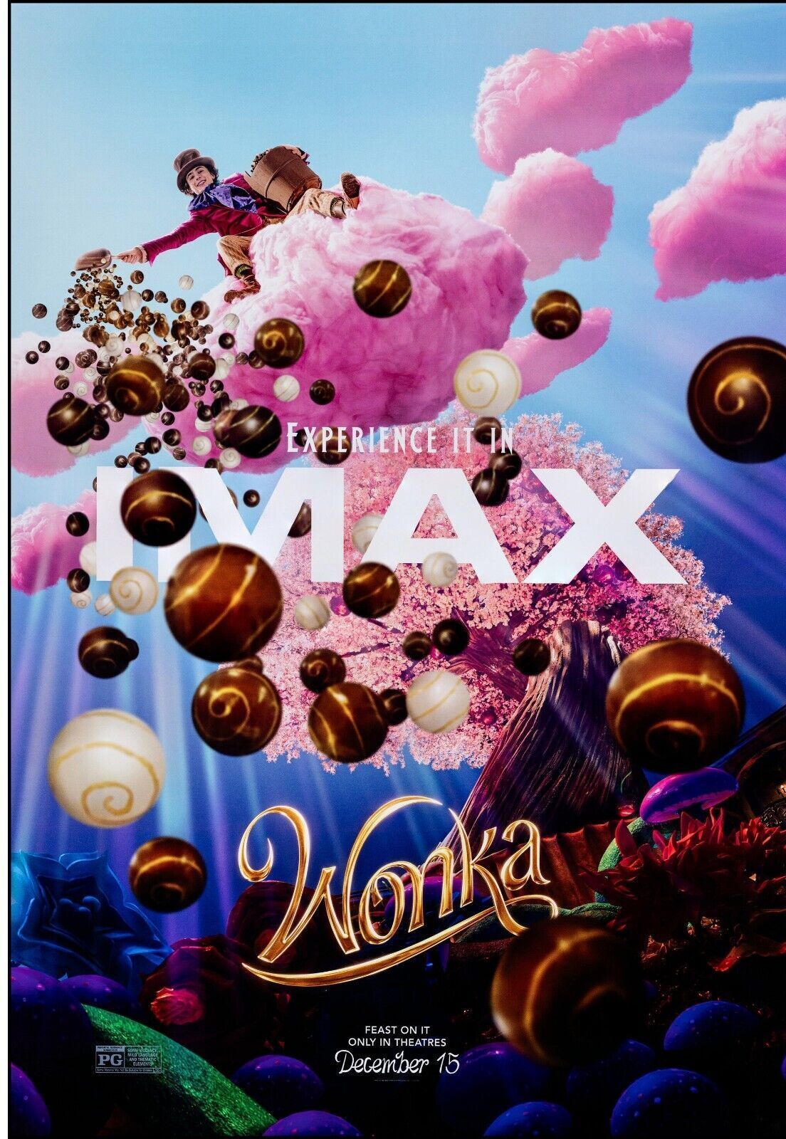 WONKA PAUL KING, TIMOTHEE CHALAMET, 2023, repro poster cinema HQ