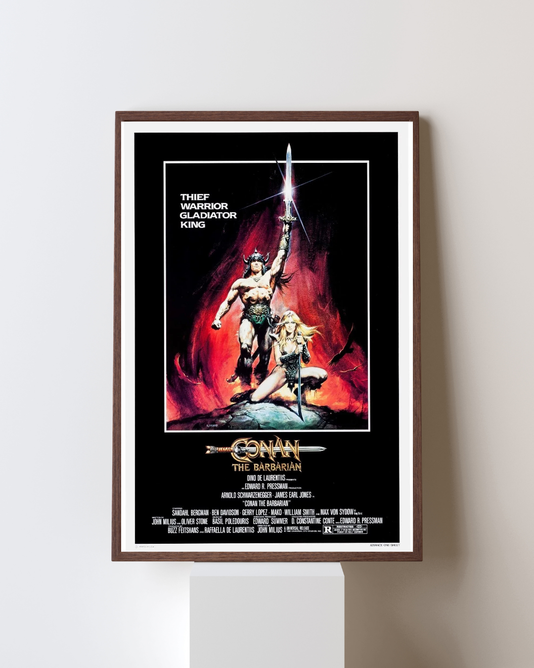 CONAN LE BARBARE, ARNOLD SCHWARZENEGGER, 1982, REPRO MOVIE POSTER, VINTAGE, HQ