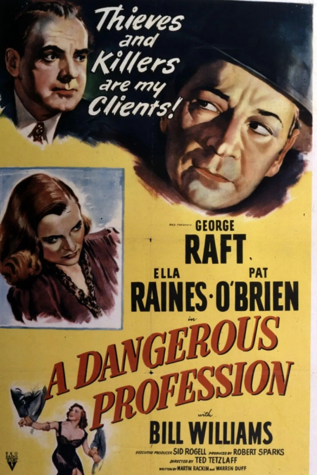 A DANGEROUS PROFESSION, GEORGE RAFT, 1949, REPRO AFFICHE CINEMA VINTAGE, HQ