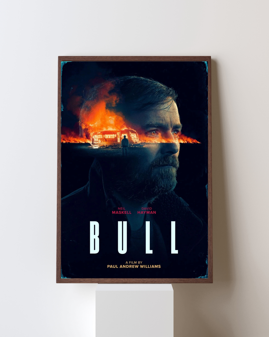 BULL, NEILL MASKELL, 2021, REPRO CARTEL CINE VINTAGE