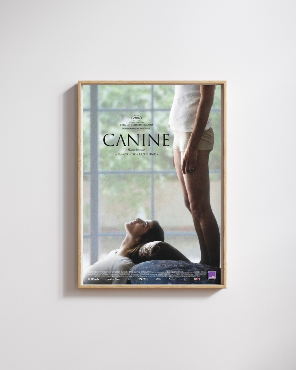 CANINE, AGGELIKI PAPOULIA, 2009, REPRO MOVIE POSTER, VINTAGE, HQ