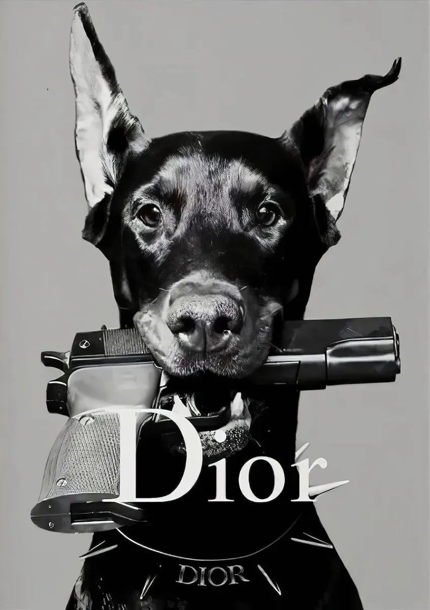 DIOR VINTAGE ADVERTISING POSTER HQ