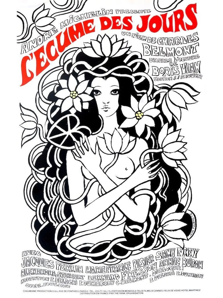 L’ÉCUME DES JOURS, ROMAIN DURIS, 2013, REPRO MOVIE POSTER, VINTAGE, HQ