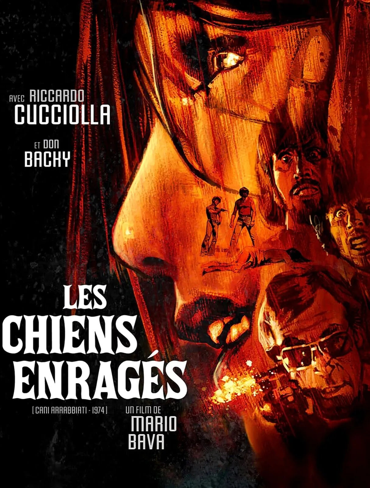 LES CHIENS ENRAGÉS, RICARDO CUCCIOLLA, 1974, REPRO AFFICHE CINEMA VINTAGE, HQ