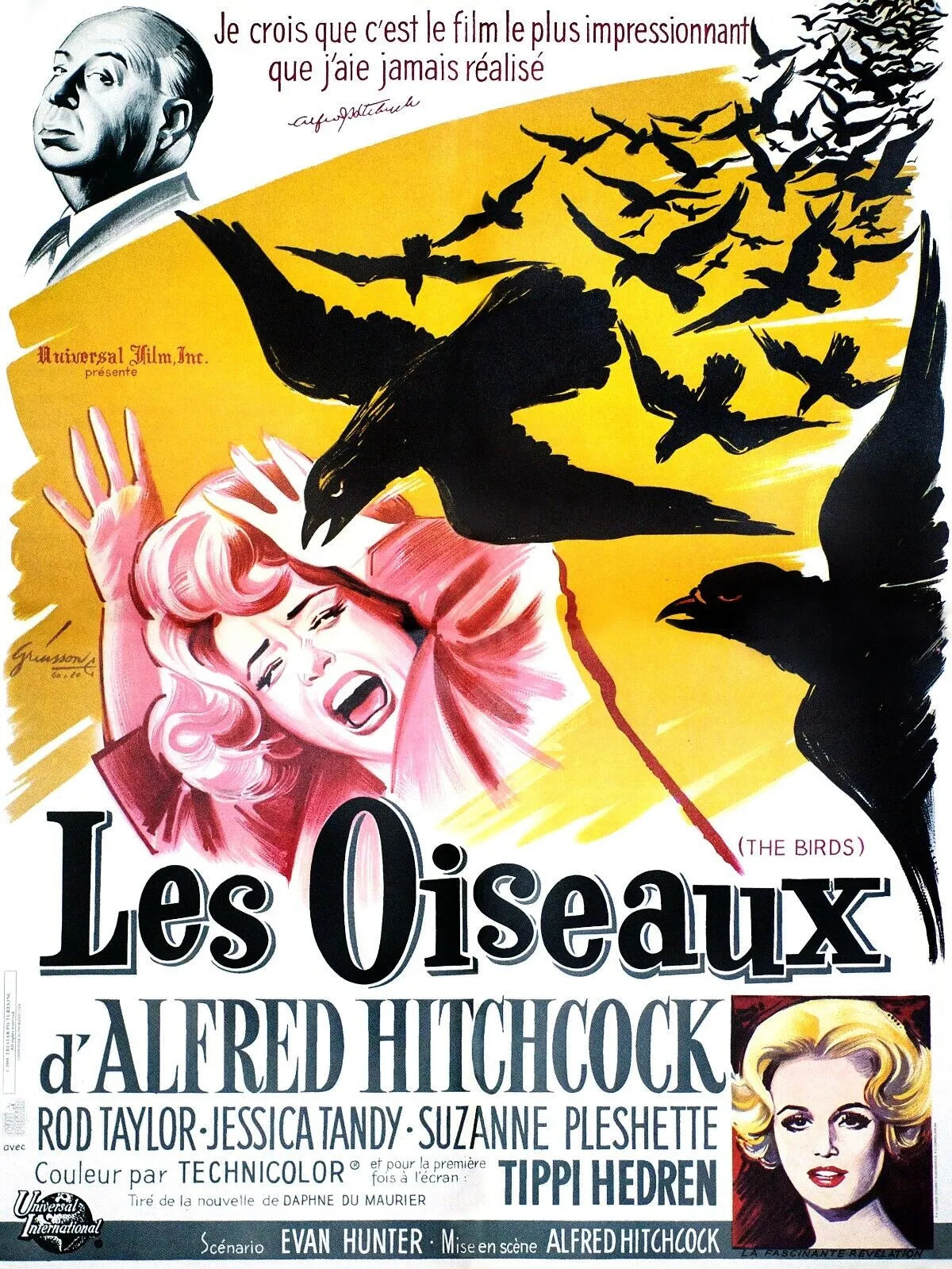 LES OISEAUX, TIPPI HEDREN, ALFRED HITCHCOCK, 1963, Repro Affiche Cinema, VINTAGE, HQ
