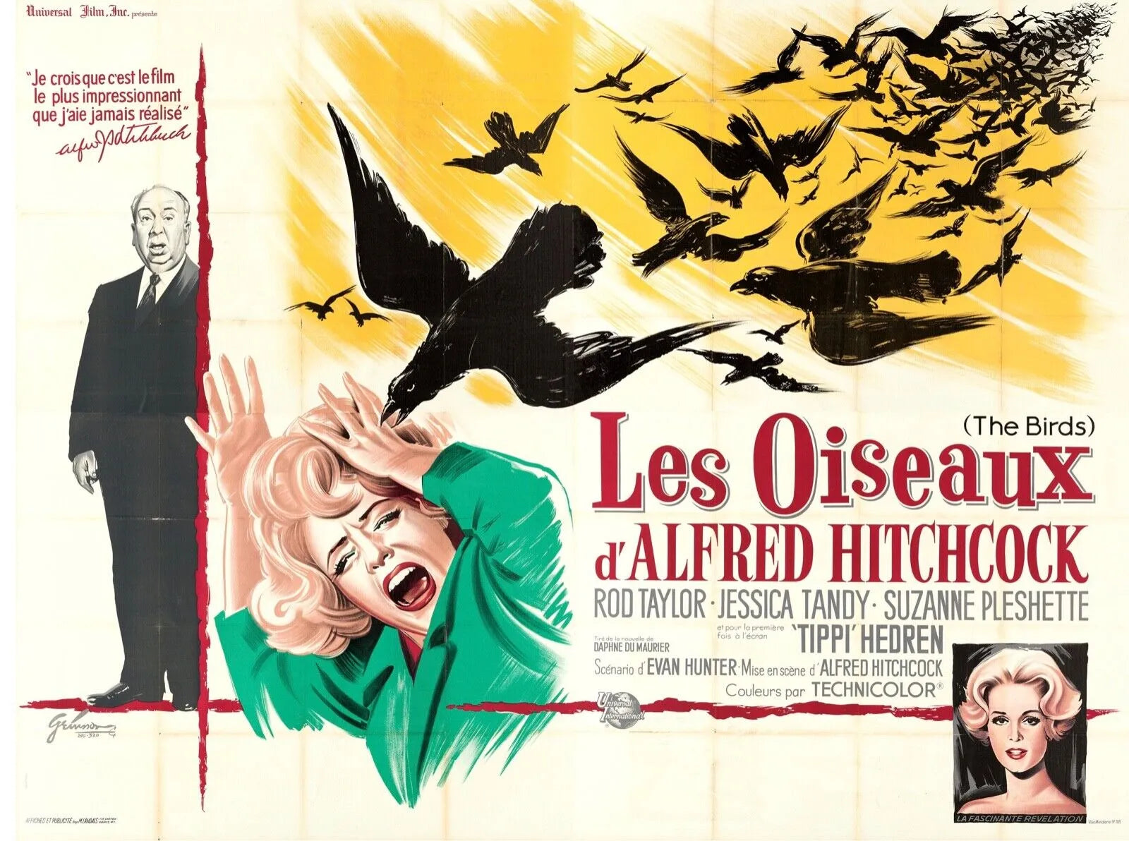 LES OISEAUX, TIPPI HEDREN, ALFRED HITCHCOCK, 1963, Repro Affiche Cinema, VINTAGE, HQ