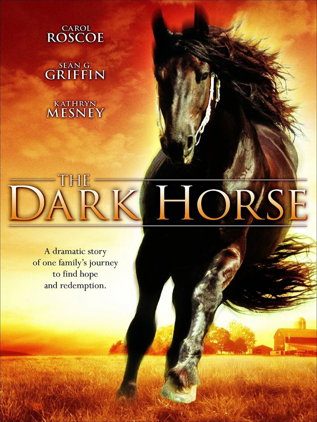L’ÉTALON NOIR – CAROL ROSCOE, CHEVAUX, REPRO AFFICHE CINÉMA VINTAGE, HQ