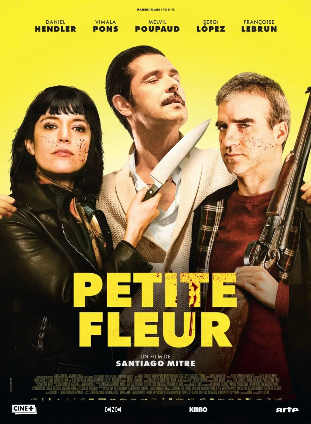 PETITE FLEUR, DANIEL HENDLER, 2022, REPRO AFFICHE CINEMA VINTAGE, HQ